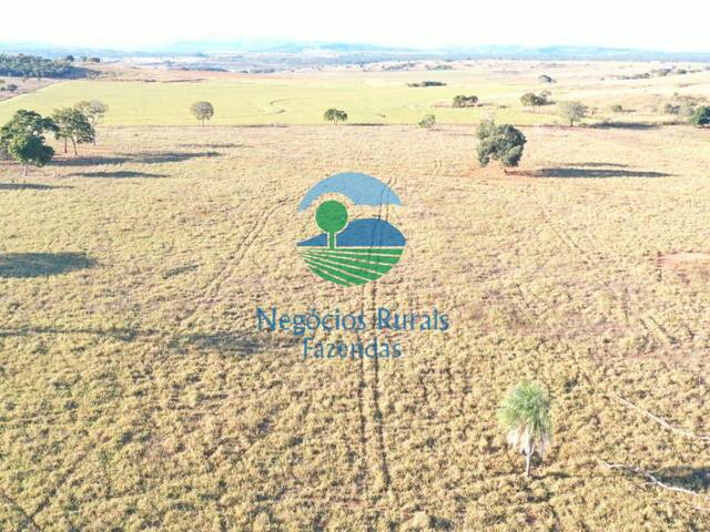 Fazenda para Venda em Uruaçu - 5