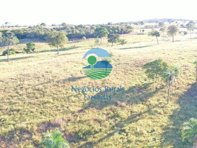 Fazenda para Venda em Uruaçu - 4