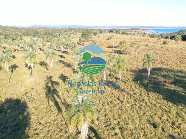 #594 - Fazenda para Venda em Uruaçu - GO - 2