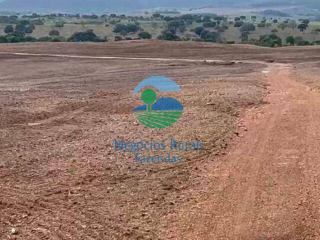 Fazenda para Venda em Niquelândia - 4
