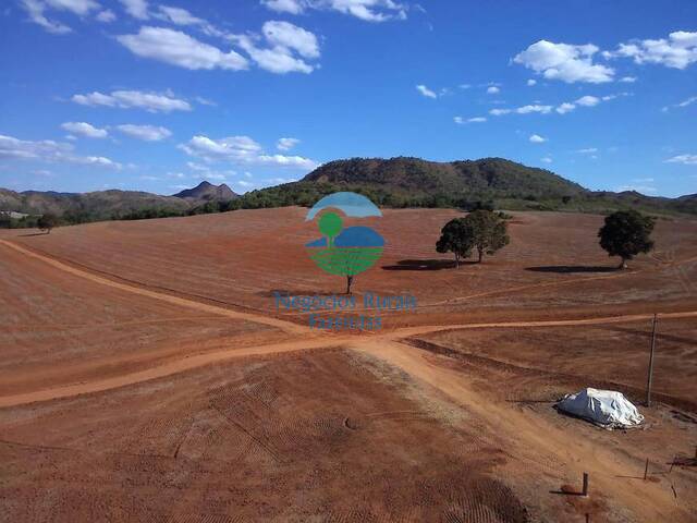 Fazenda para Venda em Niquelândia - 5