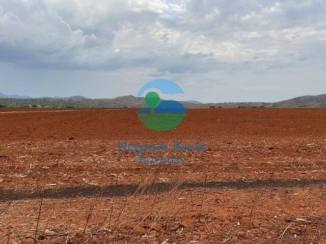 #595 - Fazenda para Venda em Niquelândia - GO - 1
