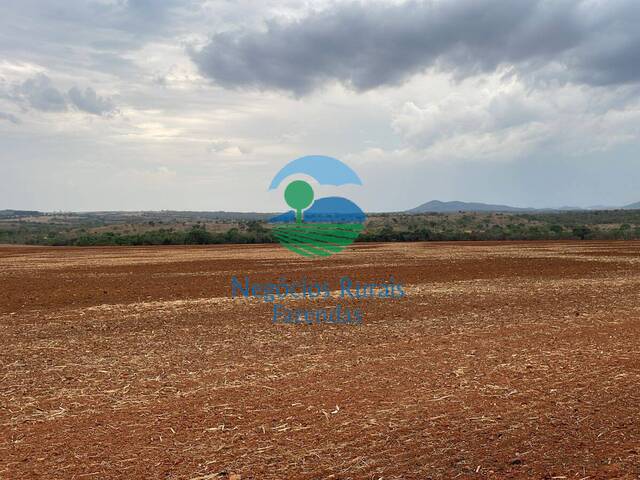 #595 - Fazenda para Venda em Niquelândia - GO - 3
