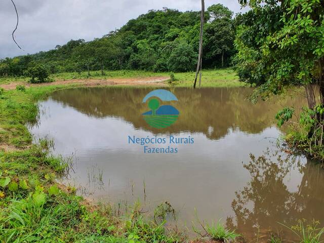 #596 - Fazenda para Venda em Nova América - GO - 3
