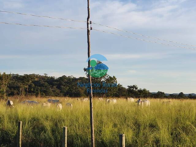 Fazenda para Venda em Nova América - 4