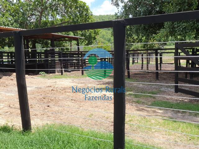 Fazenda para Venda em Nova América - 5