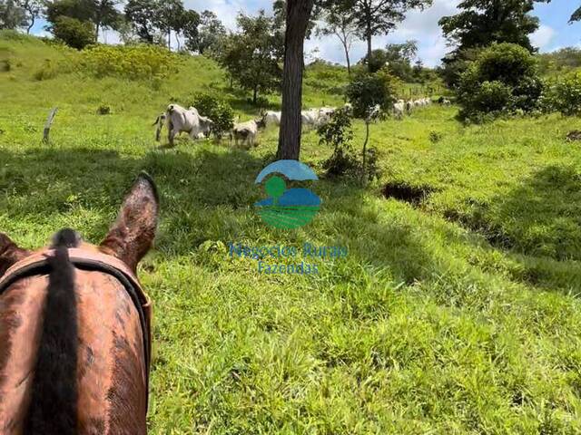 #597 - Fazenda para Venda em Amaralina - GO - 2