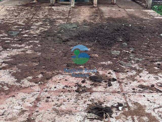 #597 - Fazenda para Venda em Amaralina - GO - 3