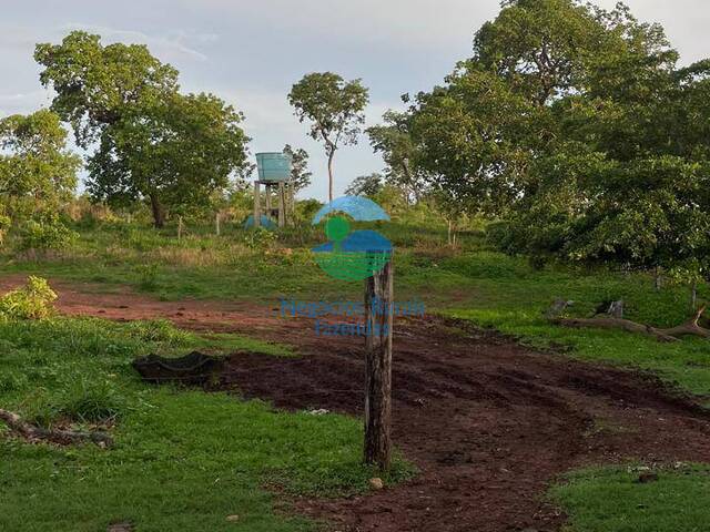 Fazenda para Venda em Amaralina - 5