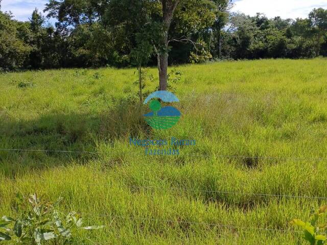 #598 - Fazenda para Venda em Uruaçu - GO - 2