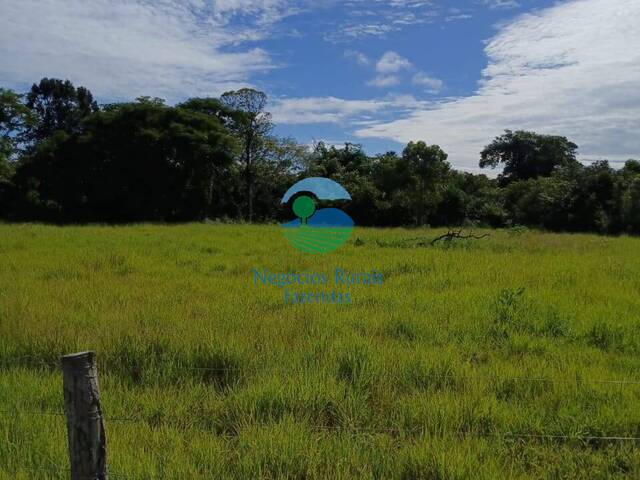 #598 - Fazenda para Venda em Uruaçu - GO - 3