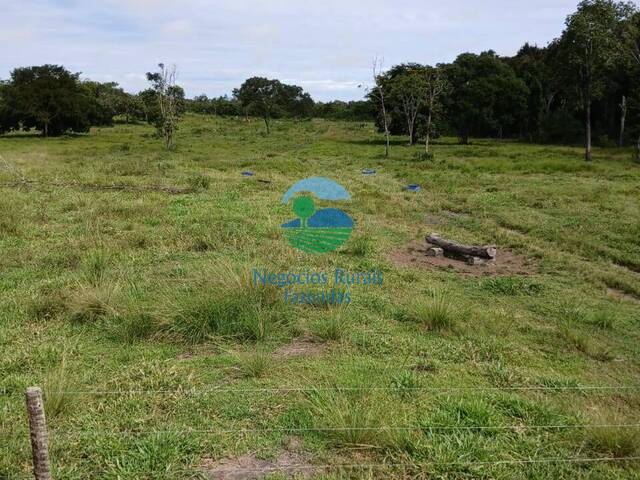 Fazenda para Venda em Uruaçu - 4