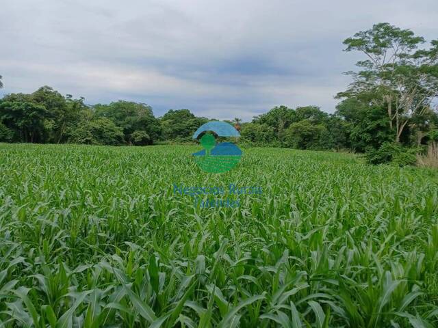 #598 - Fazenda para Venda em Uruaçu - GO - 1