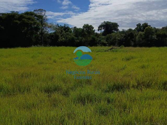 Fazenda para Venda em Uruaçu - 5
