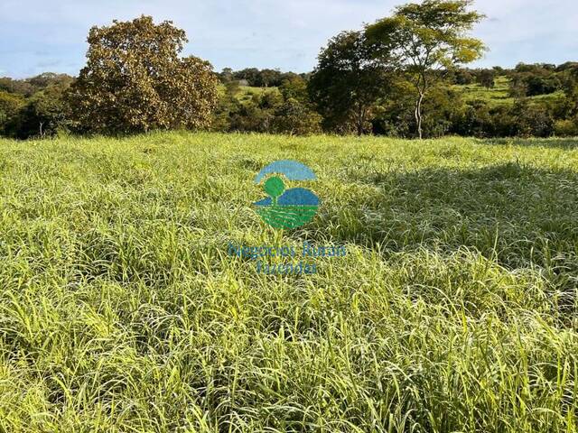 #599 - Fazenda para Venda em Crixás - GO - 3