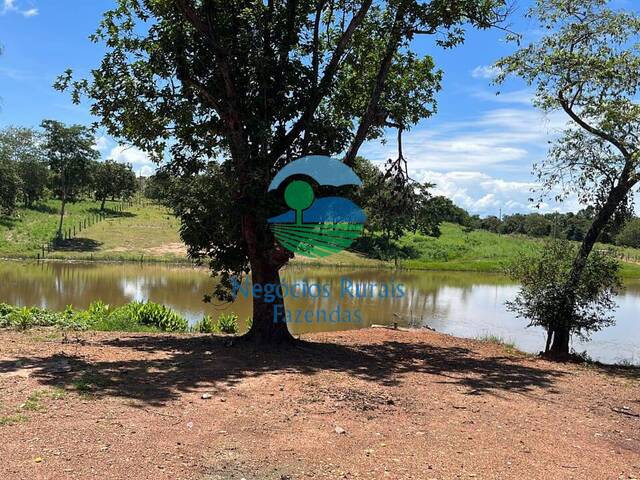 Fazenda para Venda em Crixás - 5