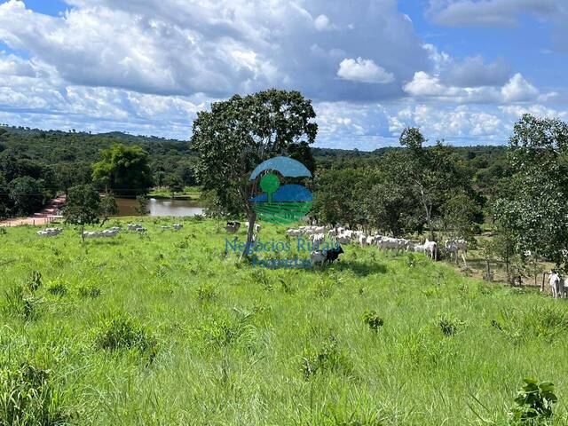 #599 - Fazenda para Venda em Crixás - GO - 2