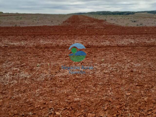 Fazenda para Venda em Morrinhos - 2