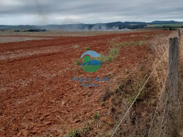 Fazenda para Venda em Morrinhos - 4