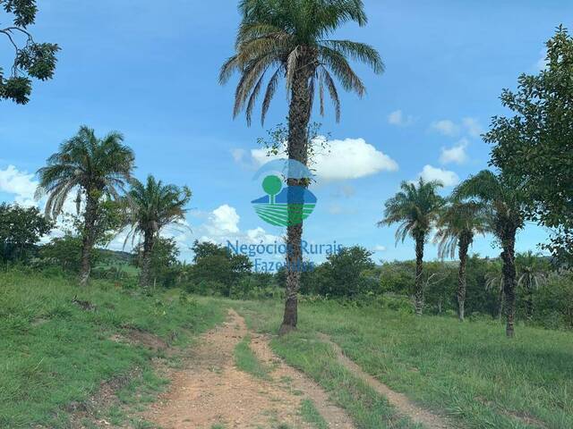 Fazenda para Venda em Jussara - 2