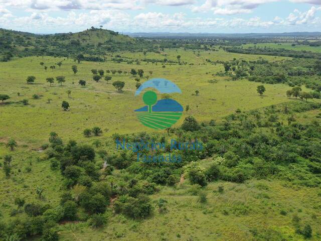 Fazenda para Venda em Jussara - 5