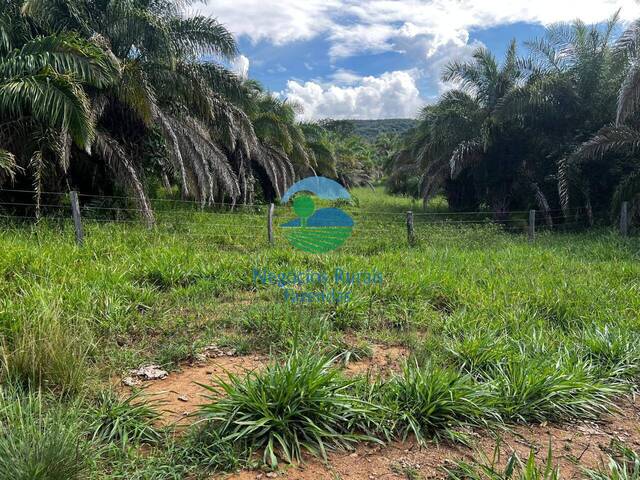 Fazenda para Venda em Jussara - 3