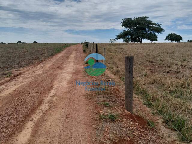 Fazenda para Venda em Ipameri - 2