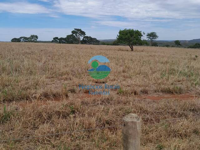 Fazenda para Venda em Ipameri - 3
