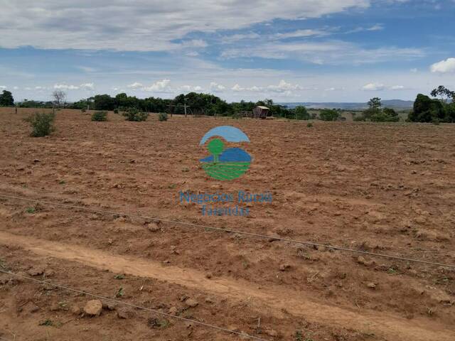 Fazenda para Venda em Ipameri - 5