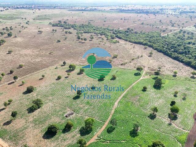 Fazenda para Venda em Araguaçu - 2