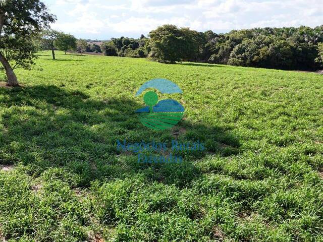 Fazenda para Venda em Araguaçu - 4