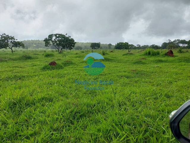 #606 - Fazenda para Venda em Bela Vista de Goiás - GO - 3