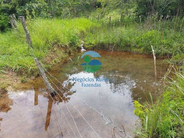 Fazenda para Venda em Bela Vista de Goiás - 4