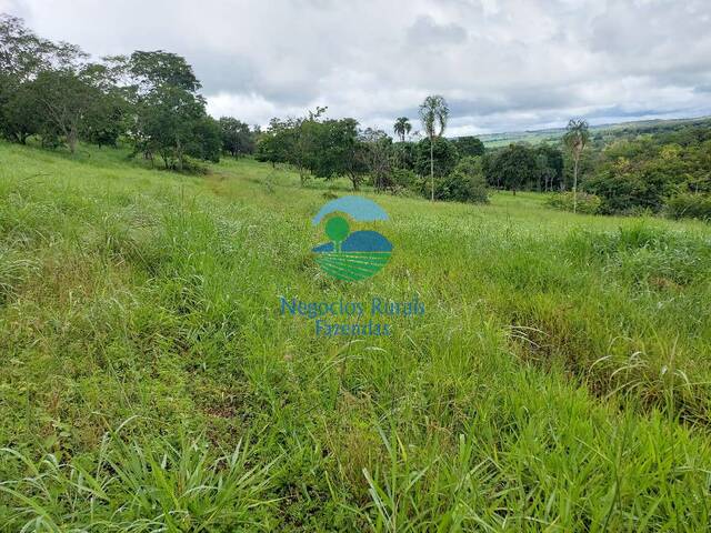 Fazenda para Venda em Bela Vista de Goiás - 5