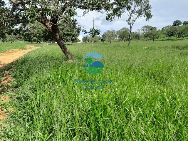 Fazenda para Venda em Pires do Rio - 3