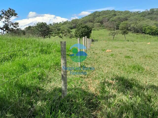 Fazenda para Venda em Pires do Rio - 4