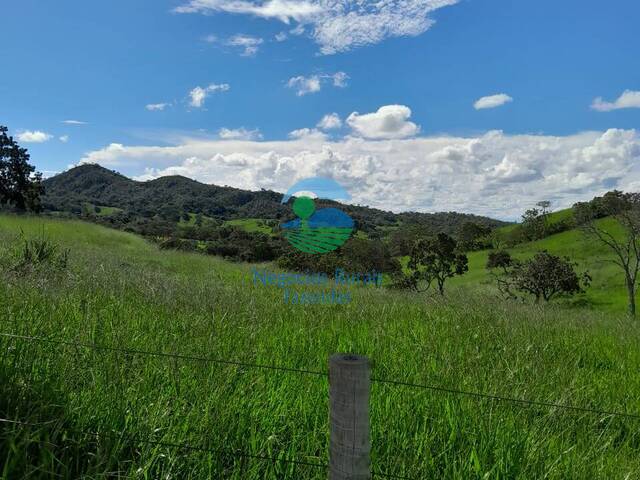 Fazenda para Venda em Pires do Rio - 5