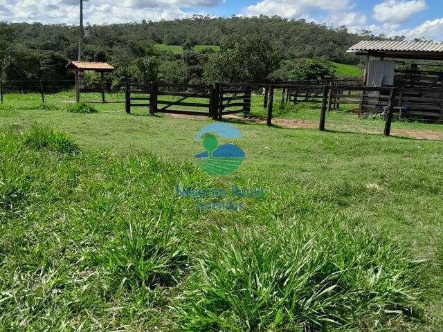 Fazenda para Venda em Pires do Rio - 2