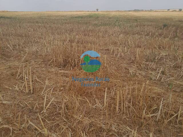 Fazenda para Venda em Santa Cruz de Goiás - 2
