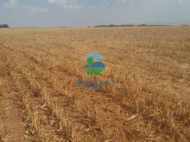 Venda em  - Santa Cruz de Goiás