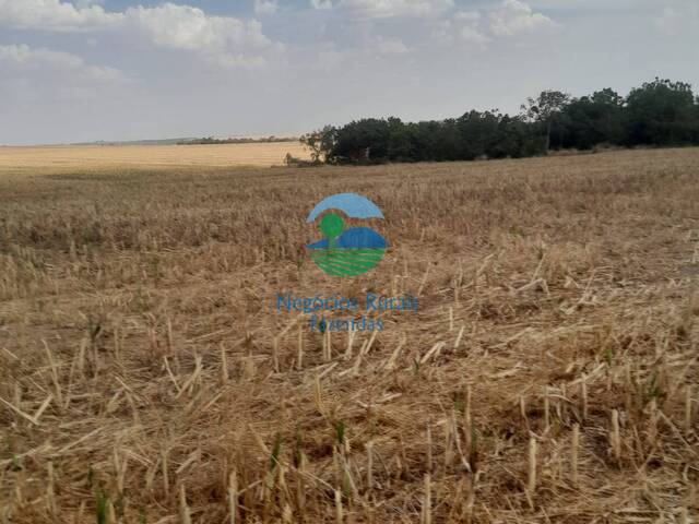 Fazenda para Venda em Santa Cruz de Goiás - 4