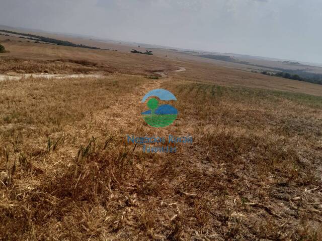 Fazenda para Venda em Santa Cruz de Goiás - 5