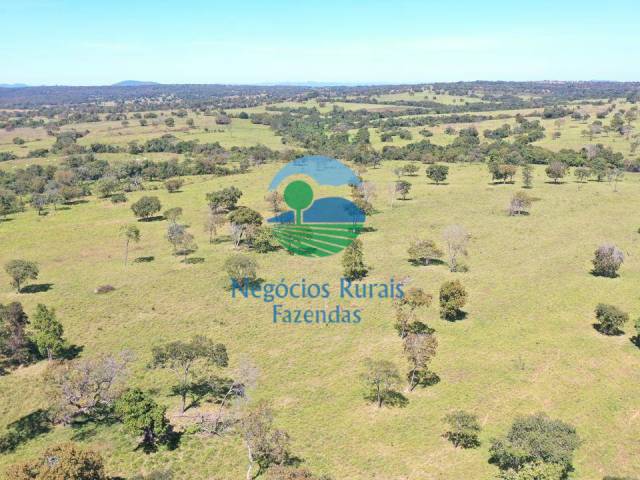 Fazenda para Venda em Amaralina - 5