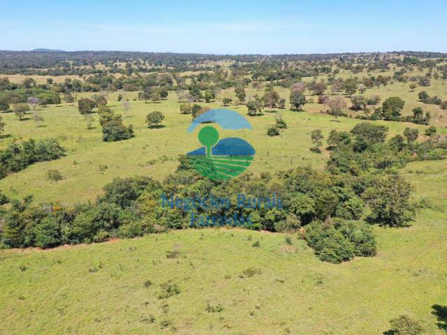 Fazenda para Venda em Amaralina - 4