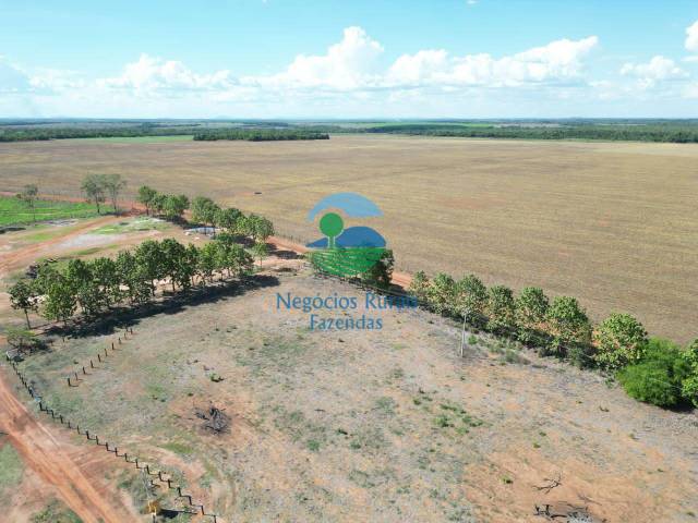 Fazenda para Venda em Santa Rosa do Tocantins - 3