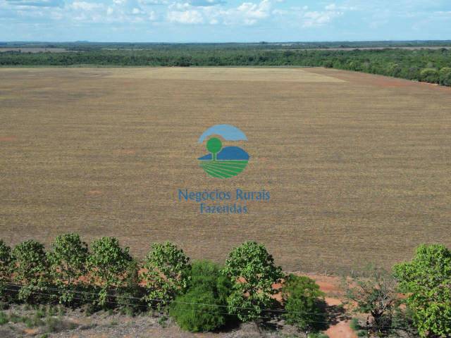 Fazenda para Venda em Santa Rosa do Tocantins - 2