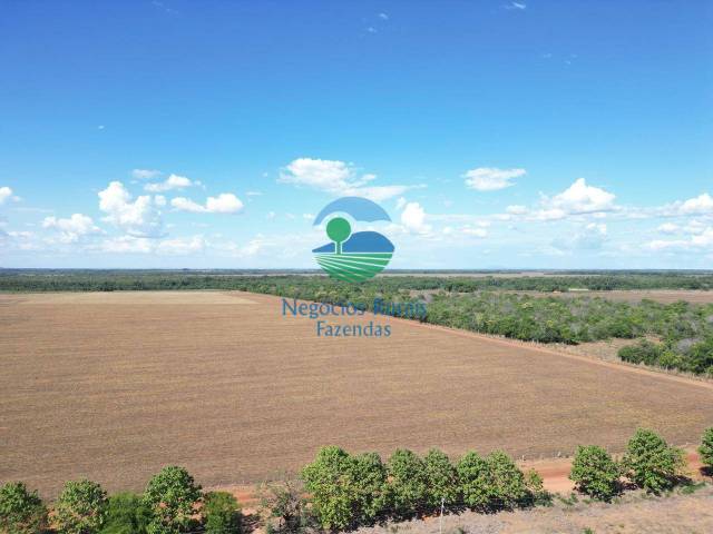 Fazenda para Venda em Santa Rosa do Tocantins - 4