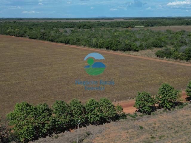 Fazenda para Venda em Santa Rosa do Tocantins - 5