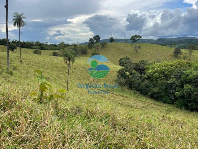 Fazenda para Venda em Formoso - 5