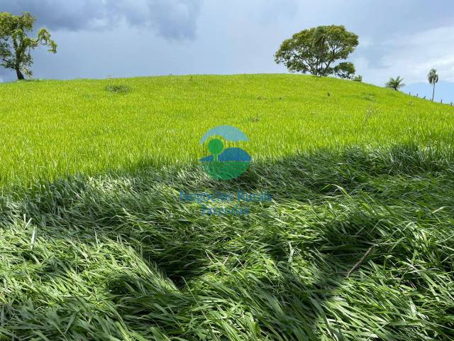 Fazenda para Venda em Formoso - 2